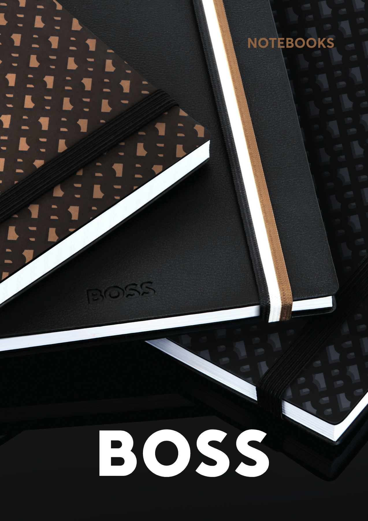 BOSS_notebooks2024
